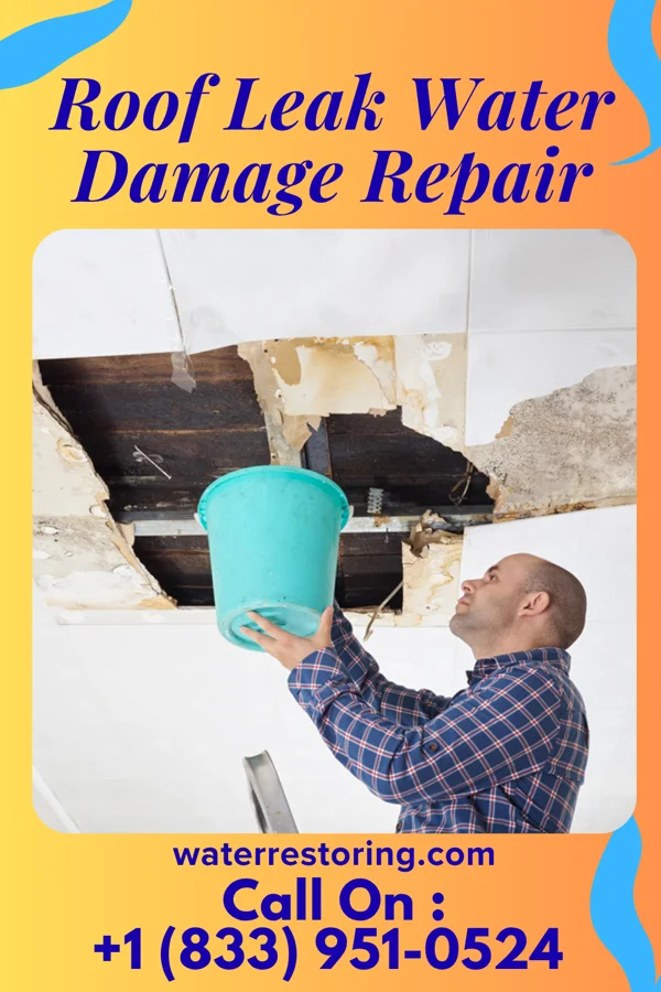 Roof Leak Water Damage Repair in Rigby, ID